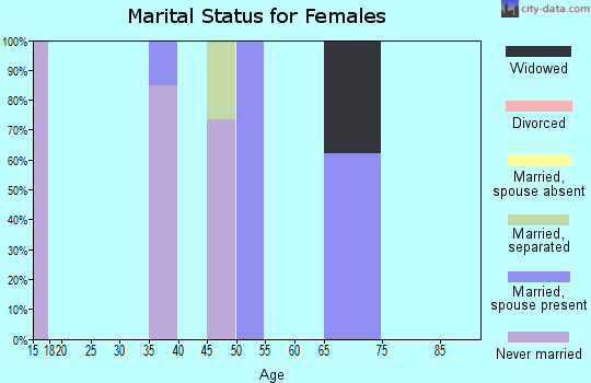 Zip code 25846 marital status for females