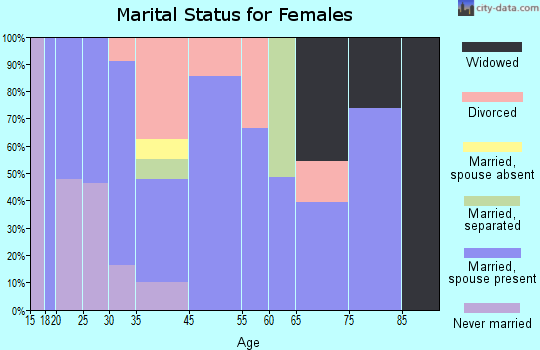 Zip code 25847 marital status for females