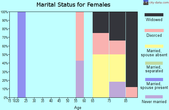 Zip code 25855 marital status for females