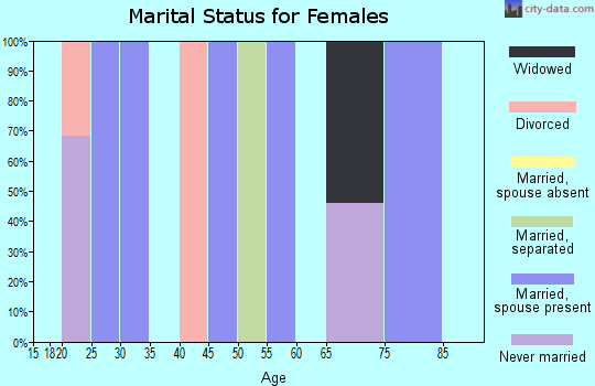 Zip code 25879 marital status for females