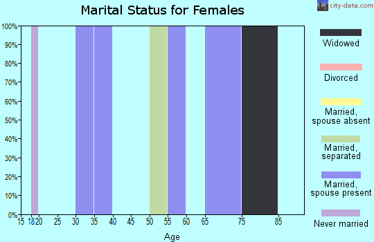 Zip code 25928 marital status for females