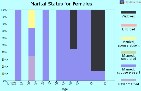 Zip code 25979 marital status for females