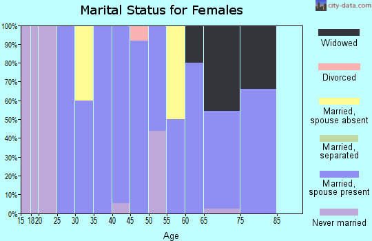Zip code 25981 marital status for females