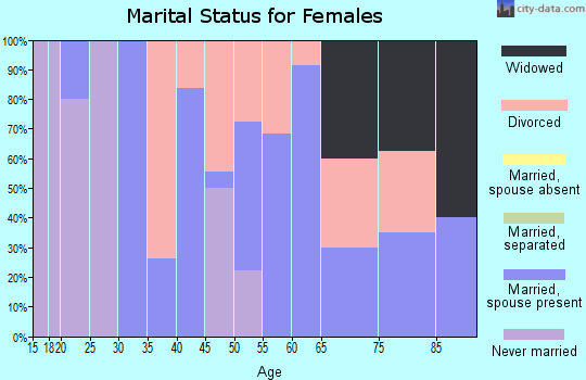 Zip code 26030 marital status for females