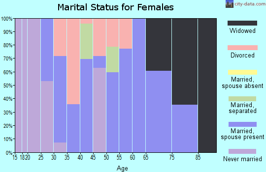 Zip code 26035 marital status for females