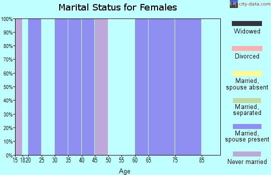 Zip code 26036 marital status for females