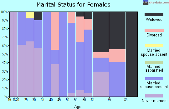 Zip code 26040 marital status for females