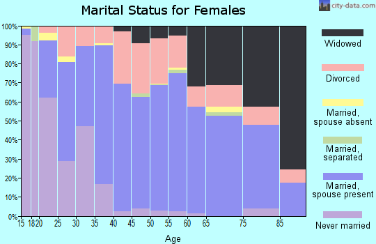 Zip code 26041 marital status for females