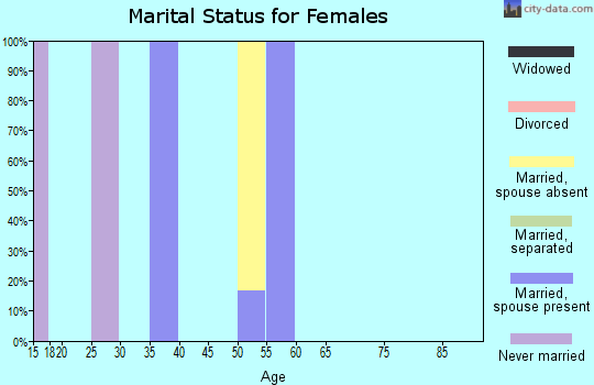 Zip code 26056 marital status for females