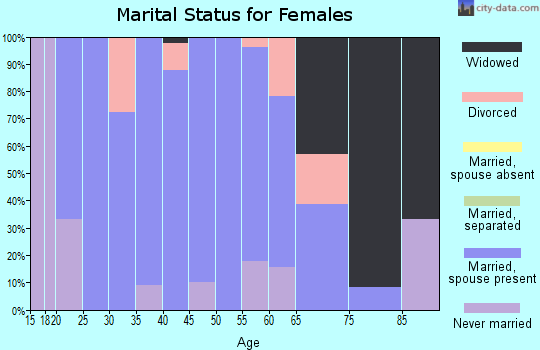 Zip code 26060 marital status for females