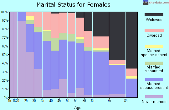 Zip code 26062 marital status for females