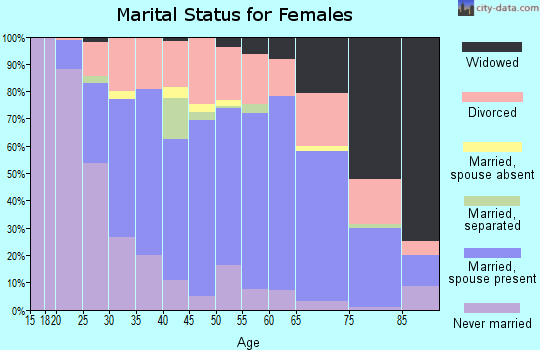 Zip code 26104 marital status for females