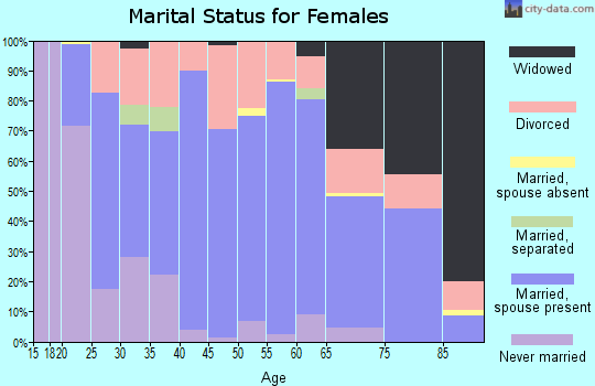 Zip code 26105 marital status for females