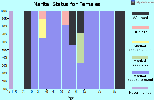 Zip code 26133 marital status for females