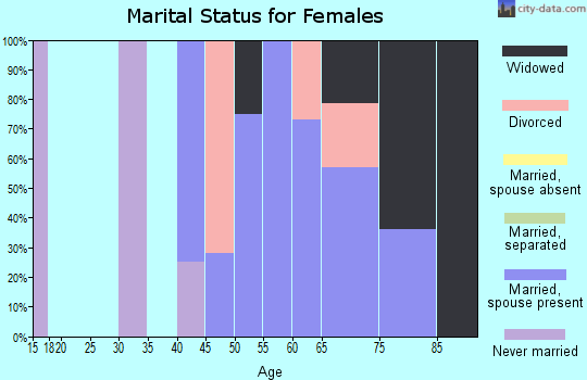 Zip code 26137 marital status for females