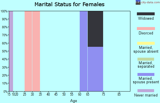 Zip code 26141 marital status for females