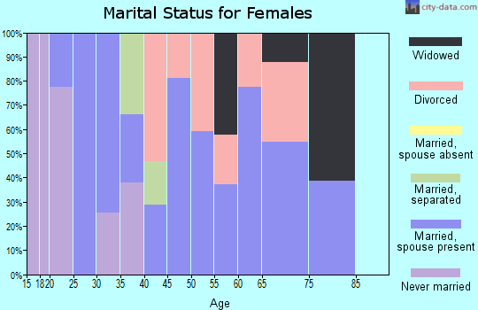 Zip code 26142 marital status for females