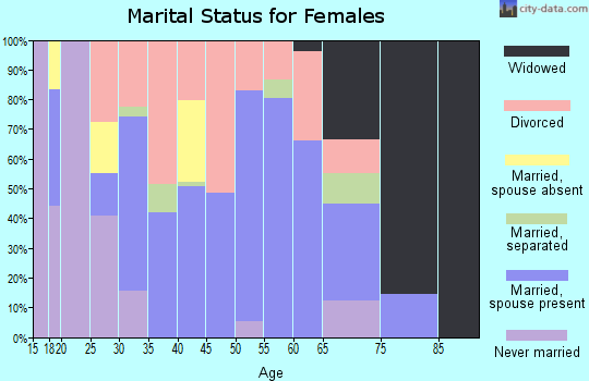Zip code 26143 marital status for females