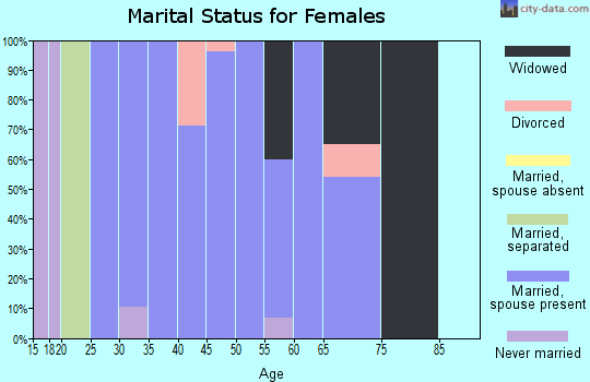 Zip code 26146 marital status for females