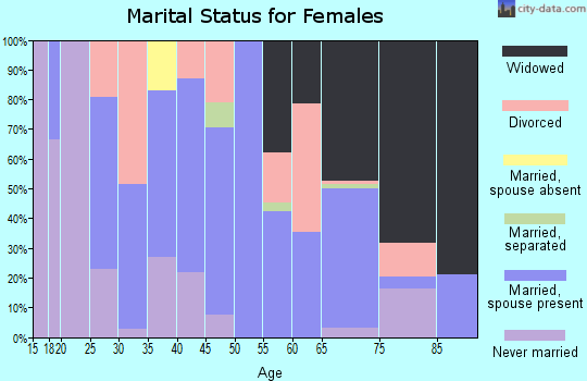 Zip code 26147 marital status for females