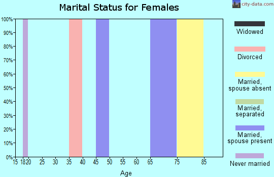 Zip code 26148 marital status for females