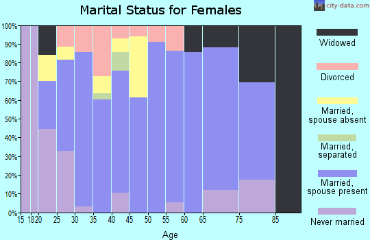 Zip code 26150 marital status for females