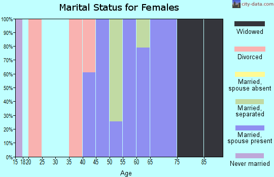 Zip code 26151 marital status for females