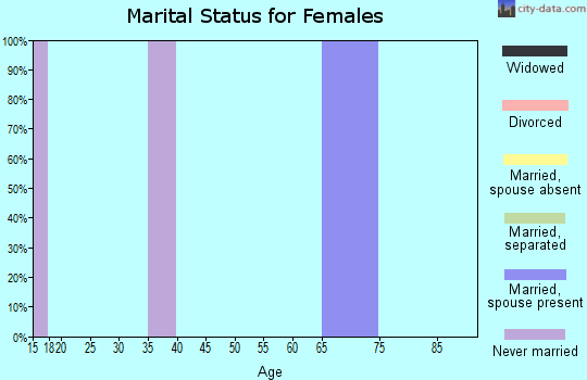 Zip code 26152 marital status for females