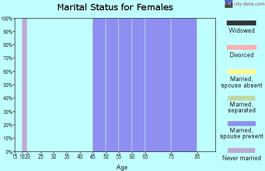 Zip code 26161 marital status for females