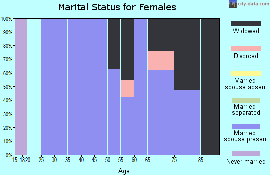 Zip code 26167 marital status for females