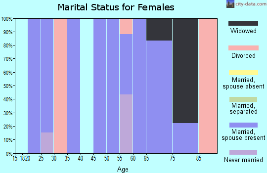 Zip code 26169 marital status for females