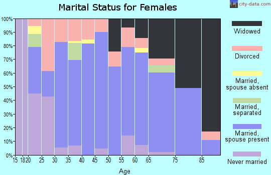 Zip code 26175 marital status for females