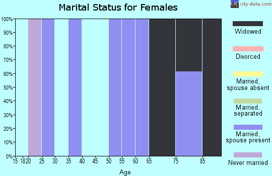 Zip code 26178 marital status for females