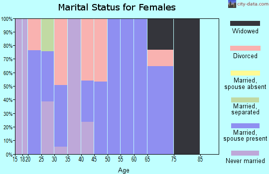 Zip code 26180 marital status for females