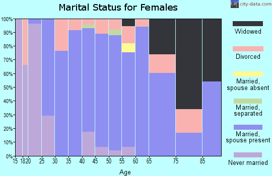 Zip code 26181 marital status for females