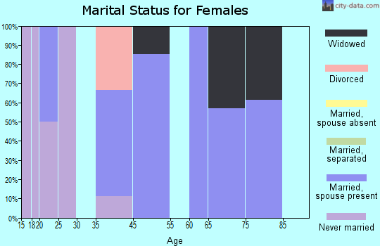 Zip code 26186 marital status for females