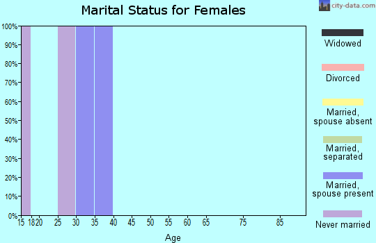 Zip code 26203 marital status for females