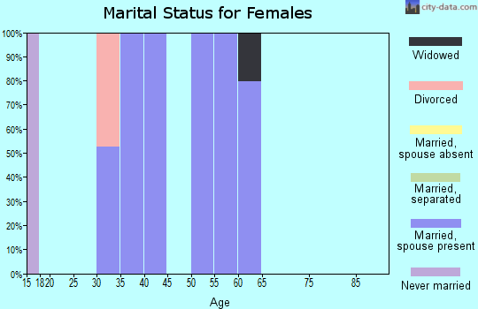 Zip code 26267 marital status for females