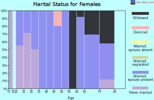 Zip code 26271 marital status for females