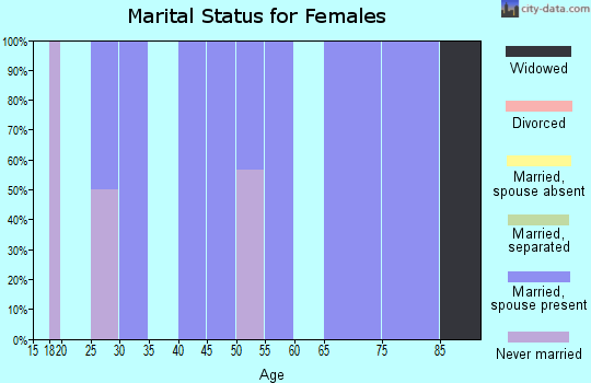 Zip code 26276 marital status for females