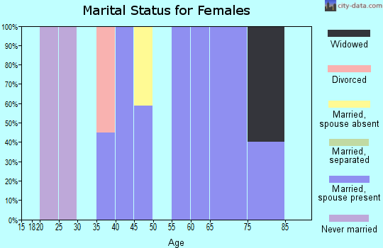 Zip code 26278 marital status for females