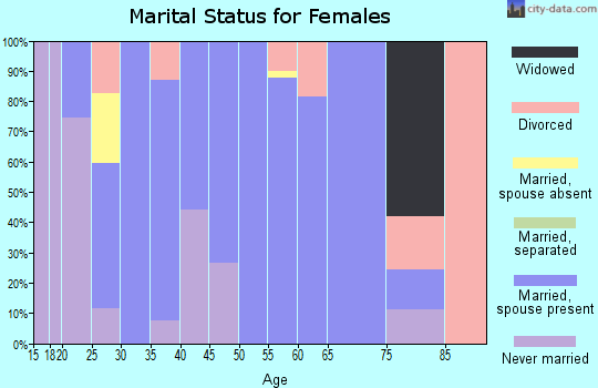 Zip code 26283 marital status for females