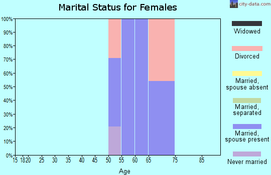 Zip code 26285 marital status for females