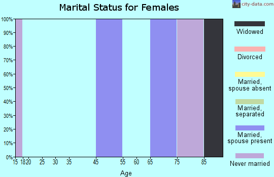 Zip code 26289 marital status for females
