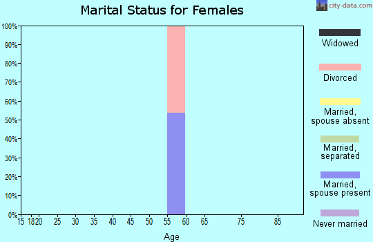 Zip code 26291 marital status for females