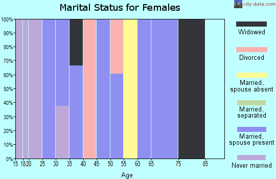 Zip code 26293 marital status for females