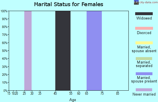 Zip code 26302 marital status for females