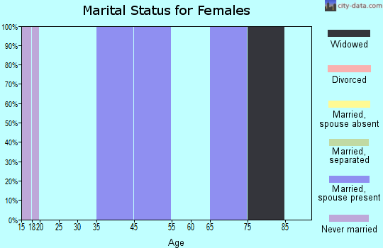 Zip code 26334 marital status for females