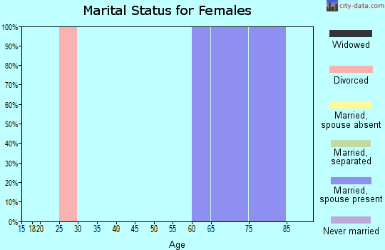 Zip code 26339 marital status for females