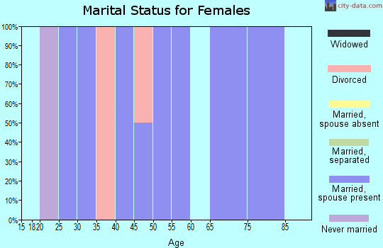 Zip code 26342 marital status for females